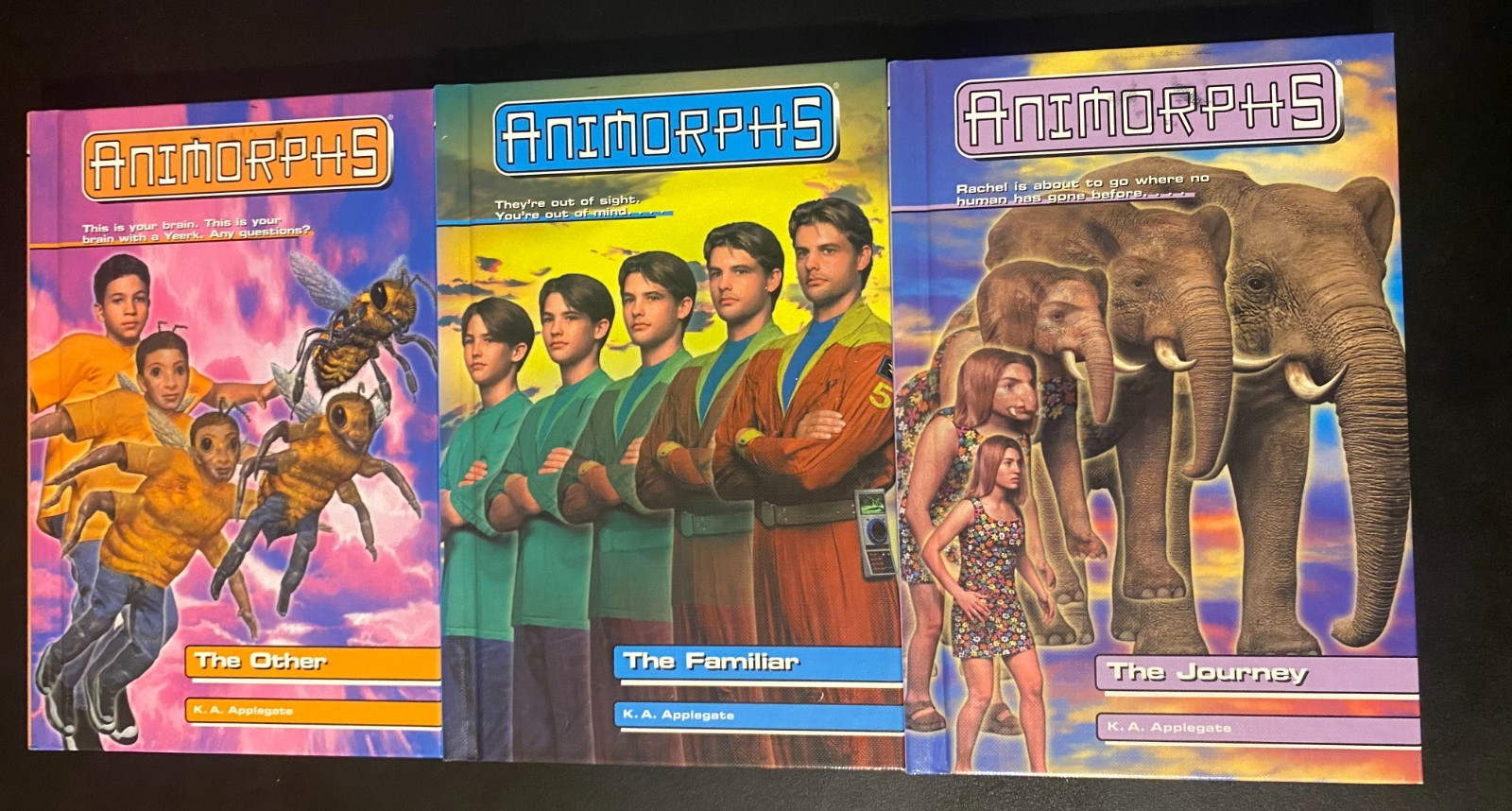 Animorphs Books 40, 41 & 42 Lot Hardcover Lot K.A. Applegate Scholastic Rare!