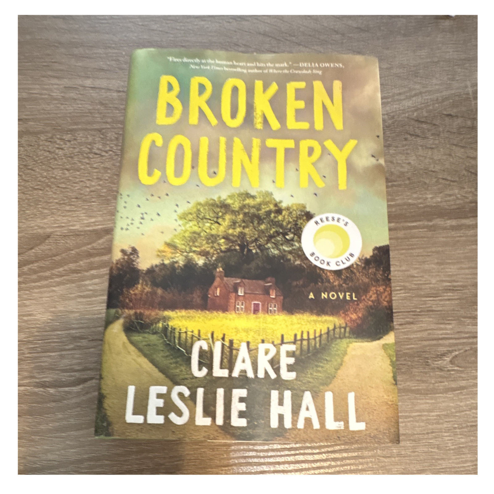 Broken Country by Clare Leslie Hall Hardcover 2023 St. Martin’s Press Dust Jack…