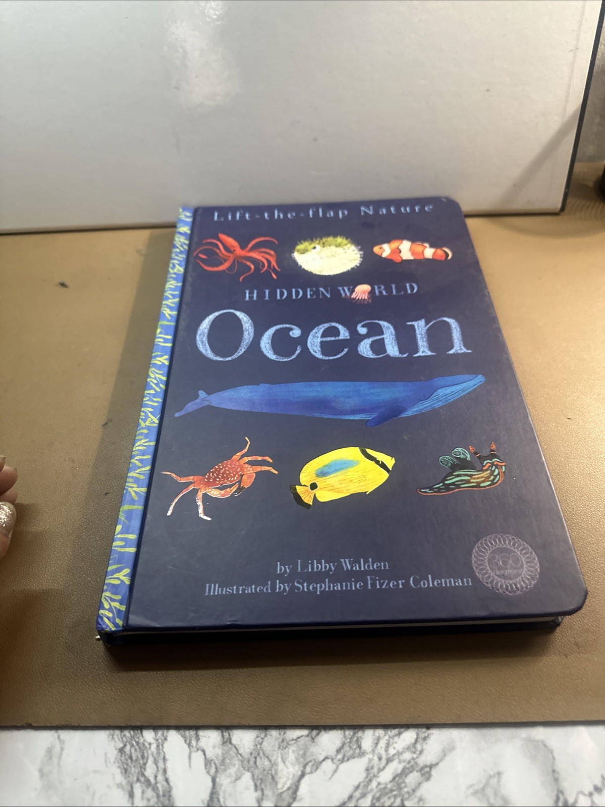 Hidden World: Ocean by Libby Walden (2018, Lift the Flap Book)