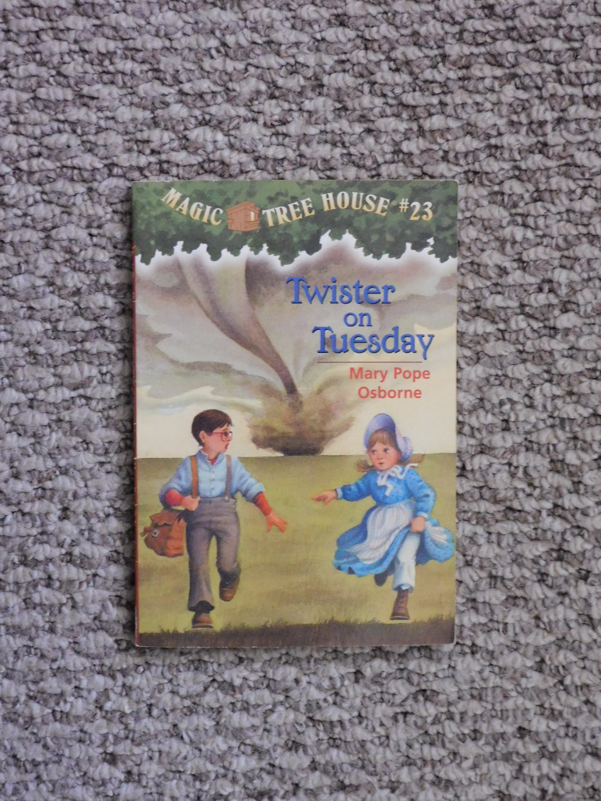 Lot of various Individual Magic Tree House Books: Mixed Publishers