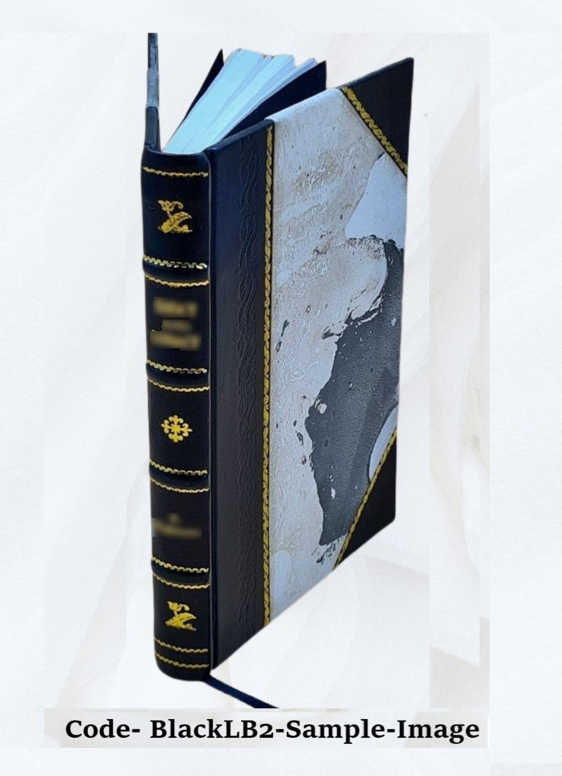 Masterpieces Of Piano Music 1918 By Albert E. Wier [Leather Bound]