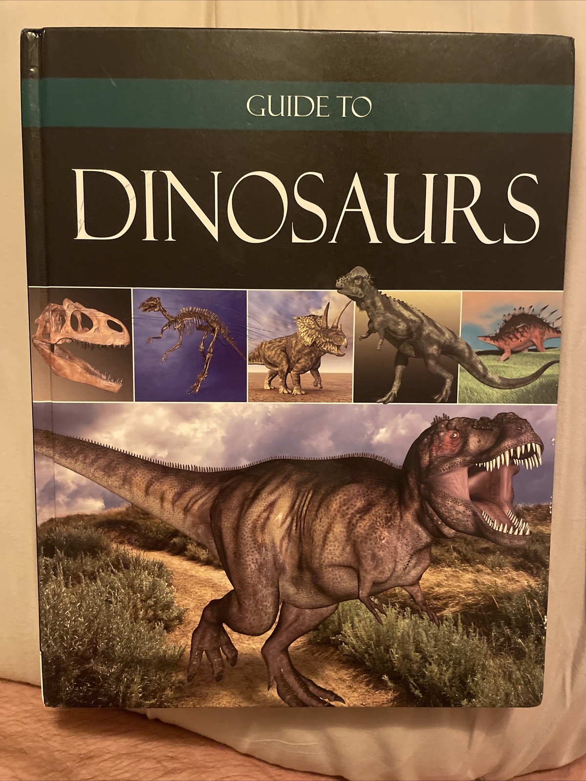 Guide to Dinosaurs