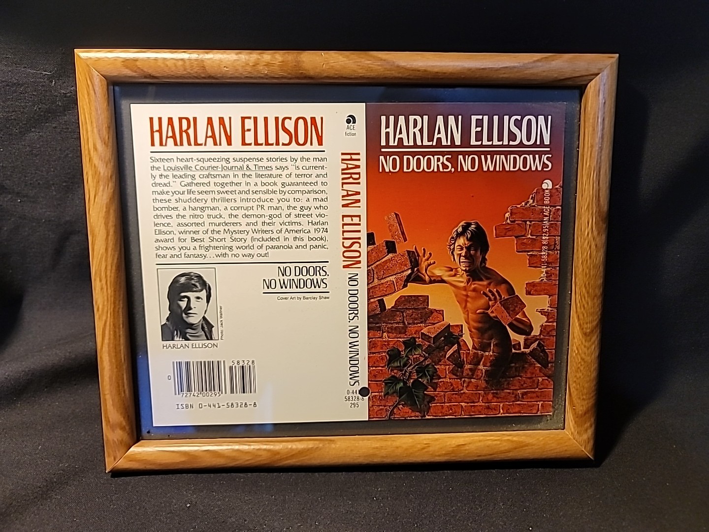 Lot of 5 Promotional book cover flats Sci-Fi Rare advertising Fantasy Great Art