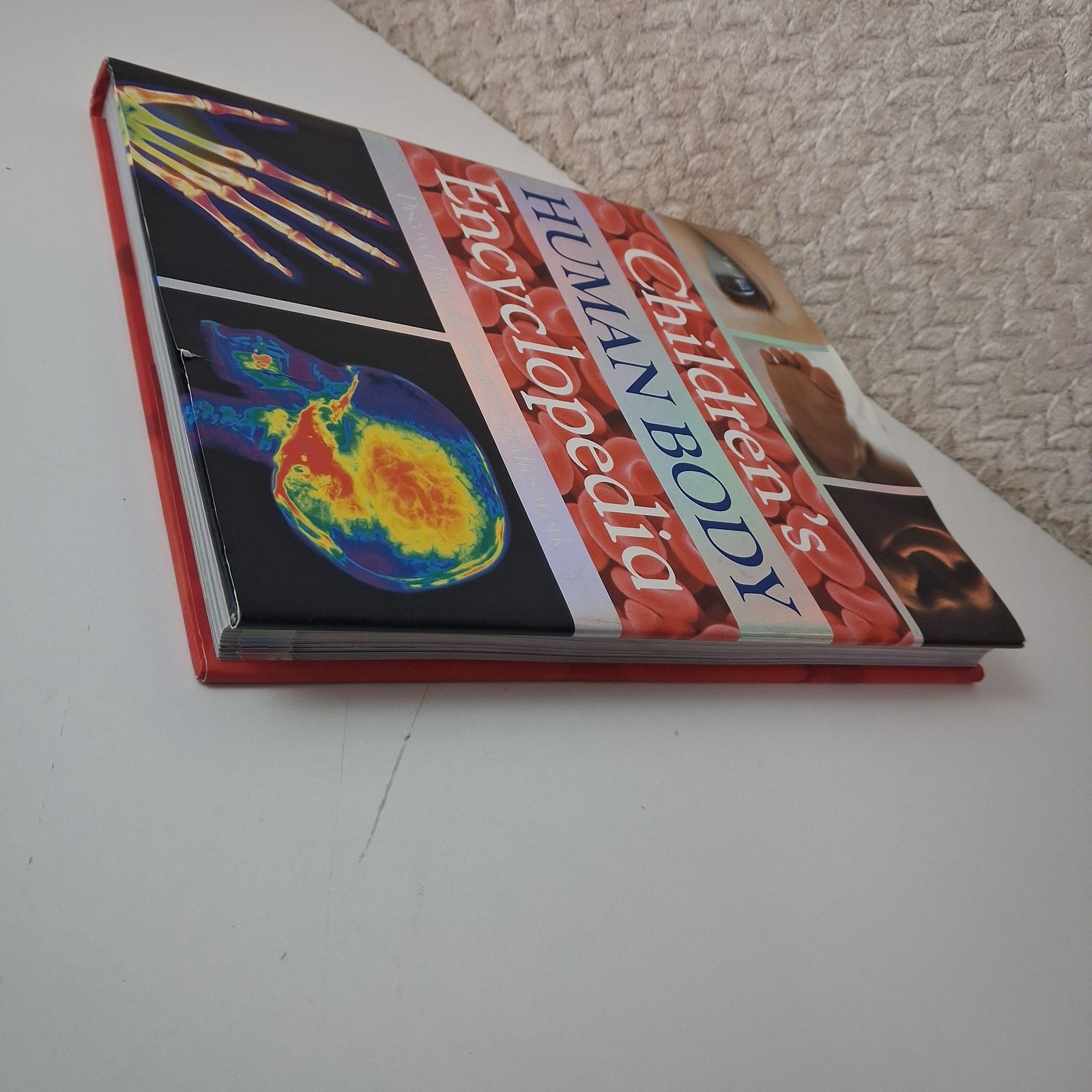Children’s Human Body Encyclopedia Steve Parker Kids Science Book Hardcover