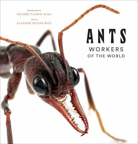 Ants: Science book on ant societies, castes, and global ecological roles. by Sp