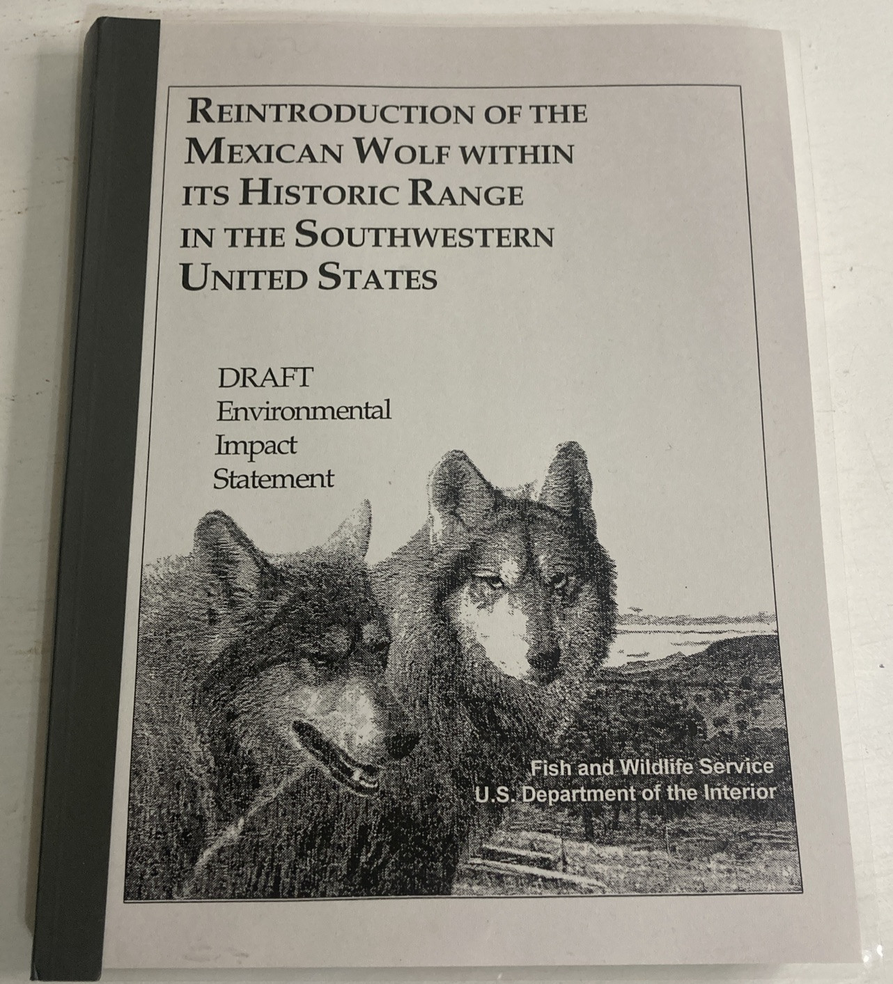Reintroduction Of The Mexican Wolf Within Its Historic Range In The Southwestern