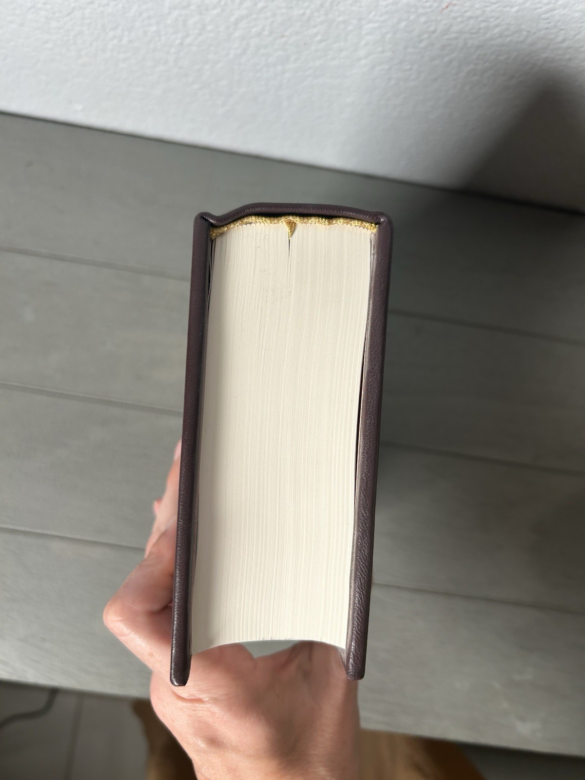 His Dark Materials Rare Edition Leather bound Knopf Borzoi Everyman 2011