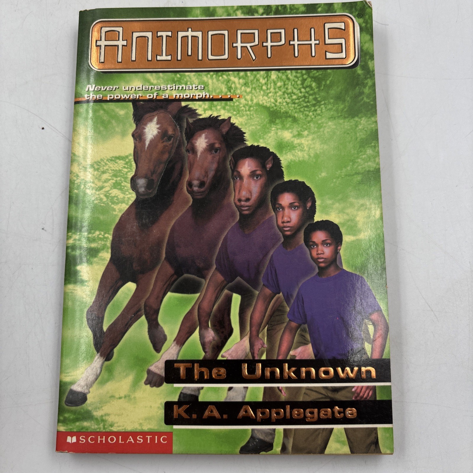 Animorphs Book Lot of 15 K.A. Applegate Scholastic Paperback Vintage 15
