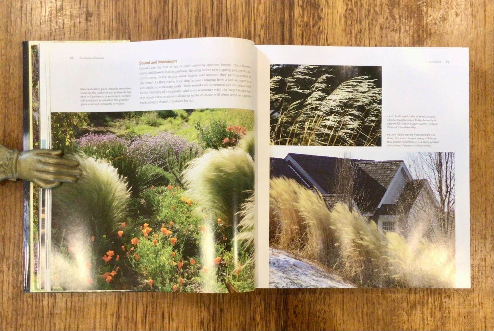 LANDSCAPING: RICK DARKE: The Encyclopedia of GRASSES for Livable Landscapes HBDJ