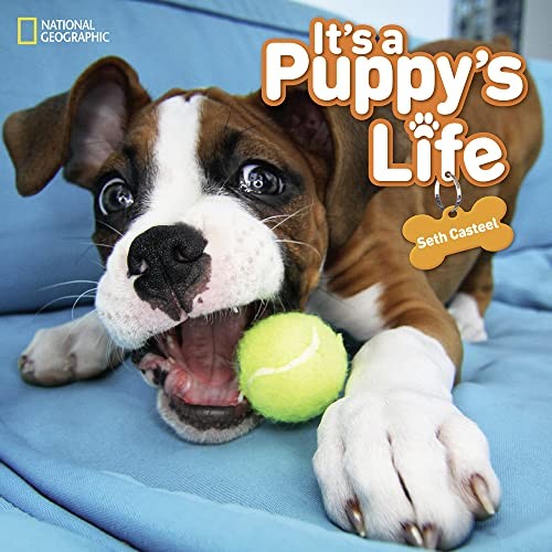 Its a Puppys Life (Animals) – VERY GOOD