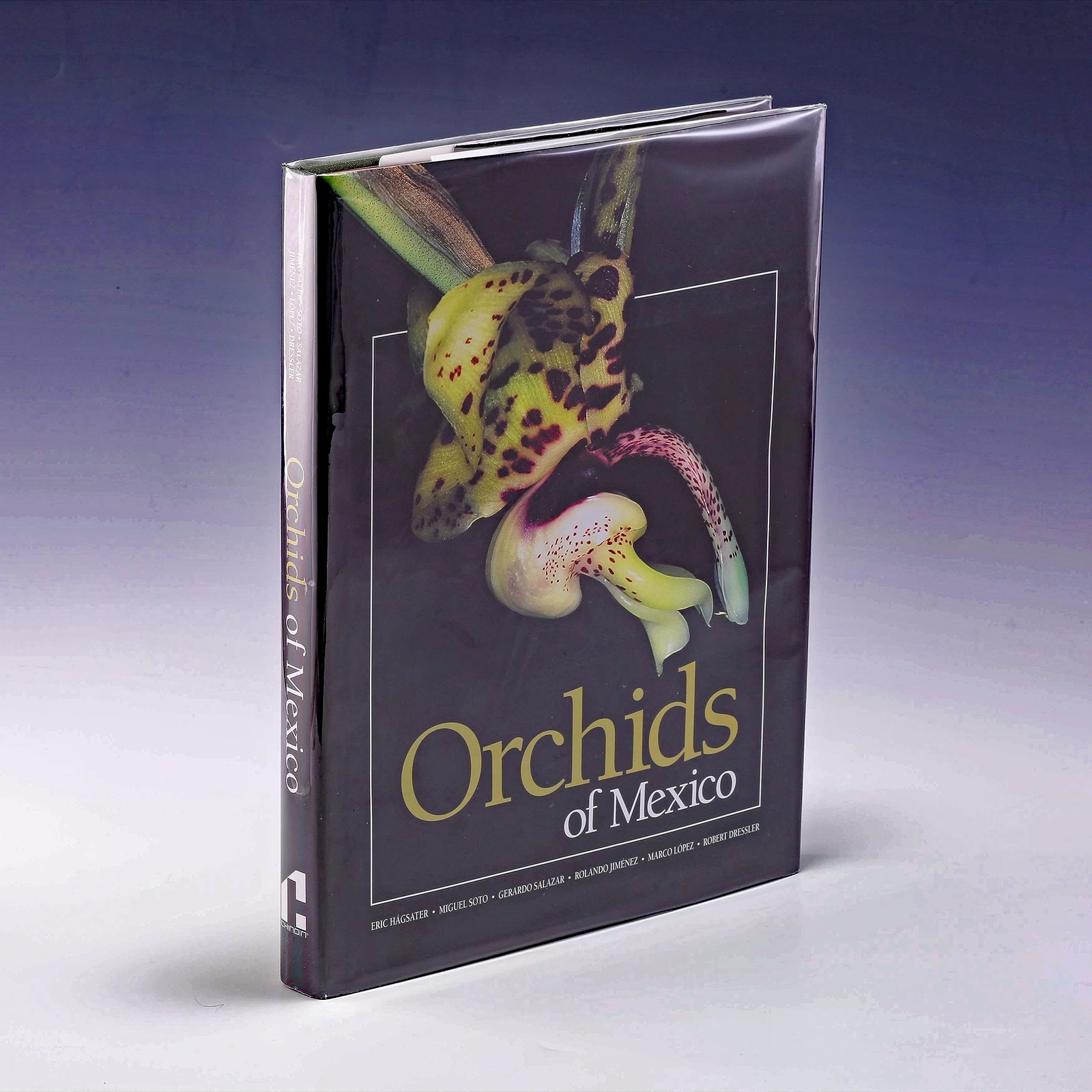 Orchids of Mexico Flowers Gardening Tropical Plants