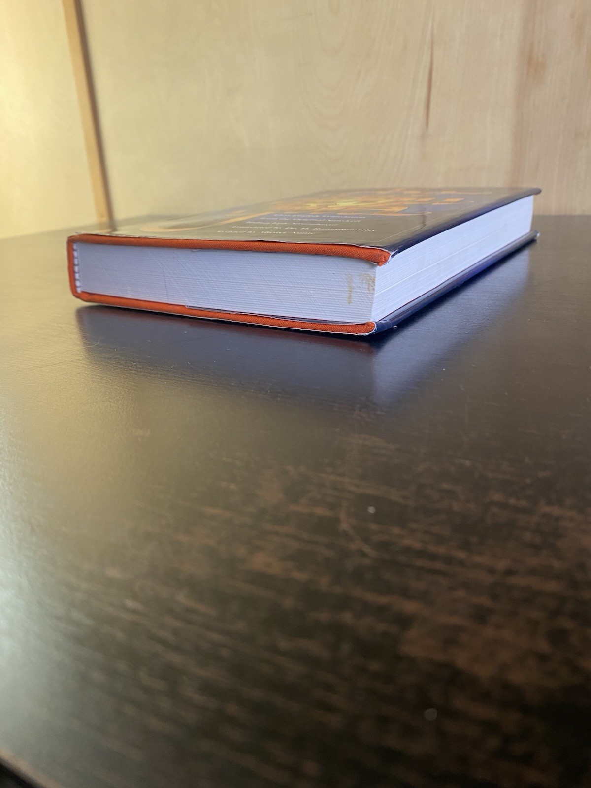 The Ribhu Gita: First English Translation from the Original Sanskrit HC