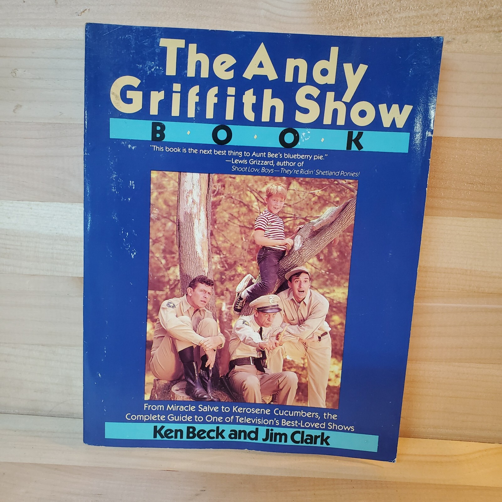 The Andy Griffith Show Book, Ken Beck & Jim Clark, St Martins Press 1985 NICE!