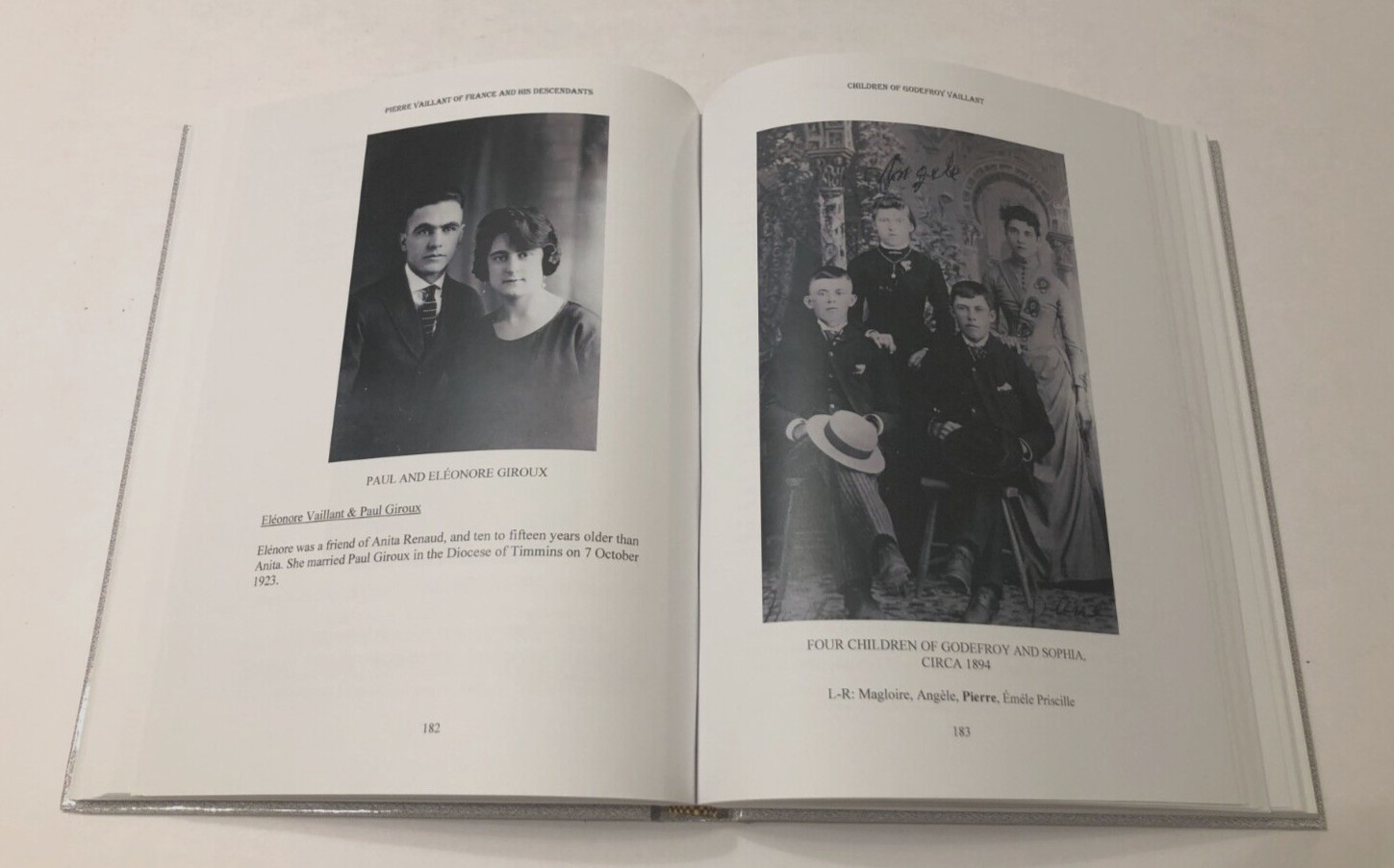 $195 Pierre Vaillant France Descendants Dennis P. Hardcover Book Lineage 2015