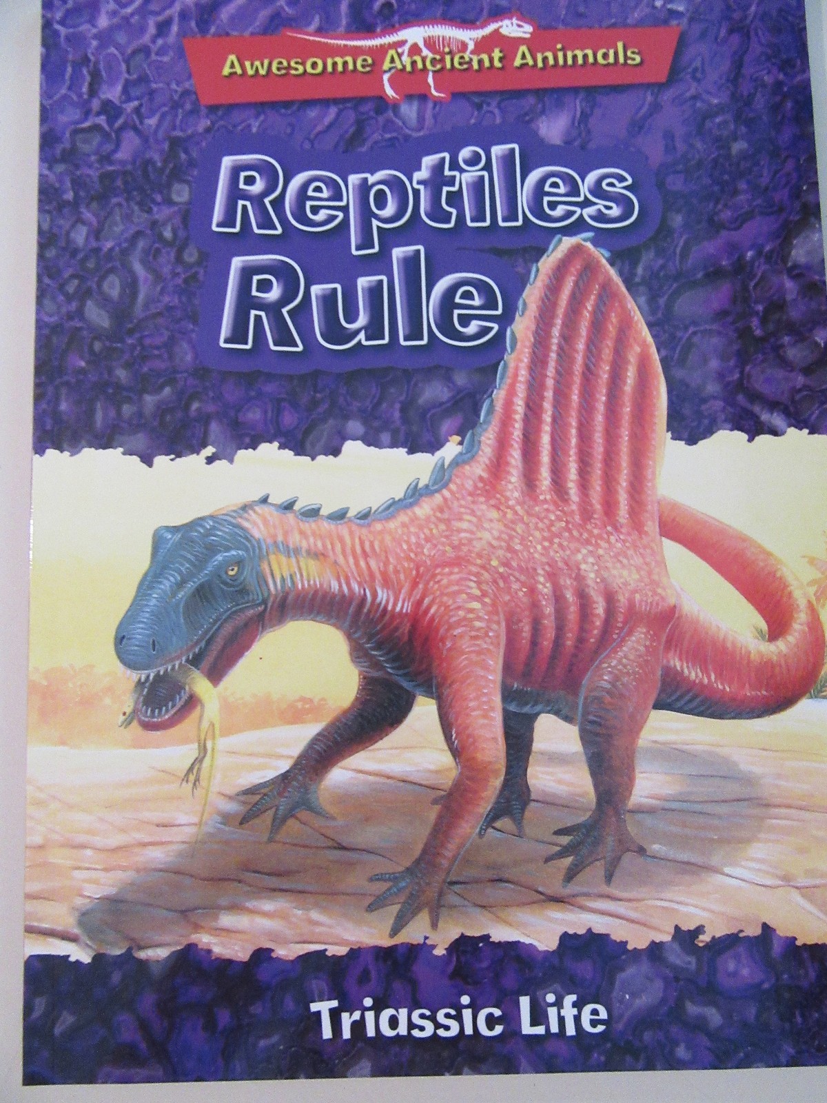 Lot of 3 NEW Awesome Ancient Animals Dinosaurs Reptiles T-Rex Fossils Ages 8-12