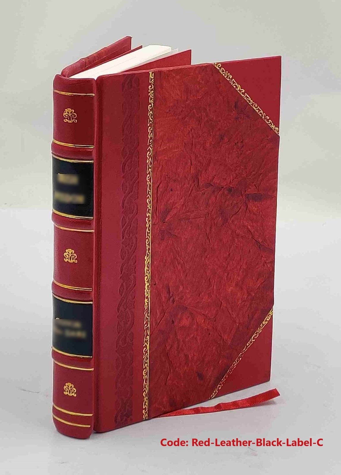 Geschichte des osterreichischen Strafrechtes in Verbindung mit e [Leather Bound]