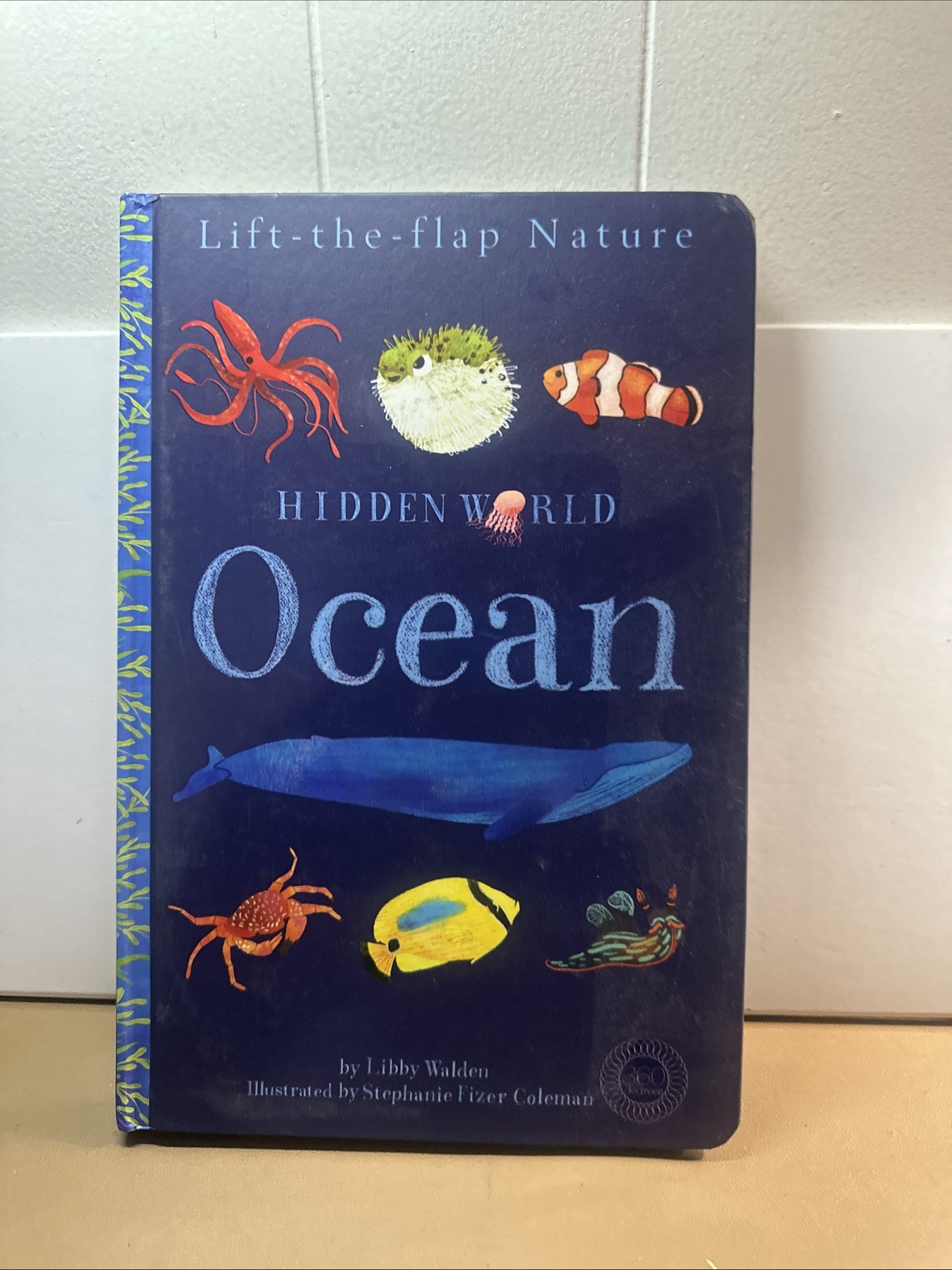 Hidden World: Ocean by Libby Walden (2018, Lift the Flap Book)