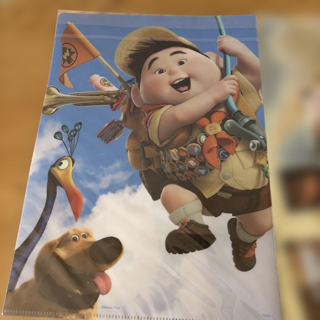 Disney UP Clear File Double-sided Print Rare Collectible