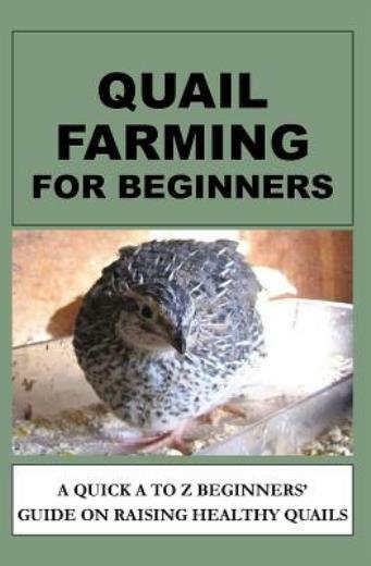 Quail Farming For Beginners: A Quick A To Z Beginners’ Guide On Raising Hea…