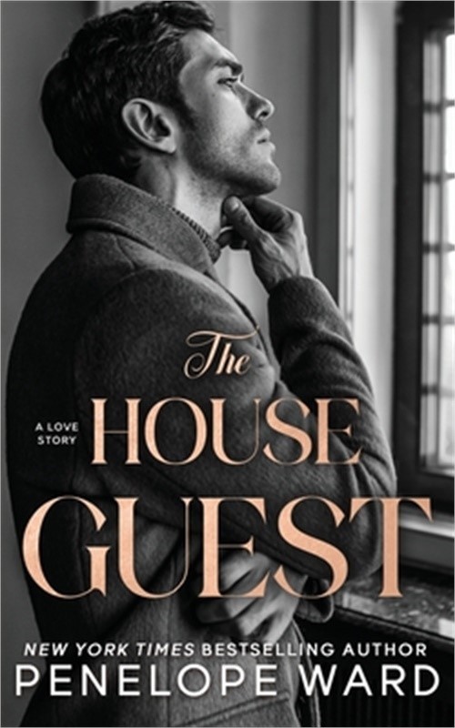 The House Guest: A Contemporary Romance (Paperback or Softback)
