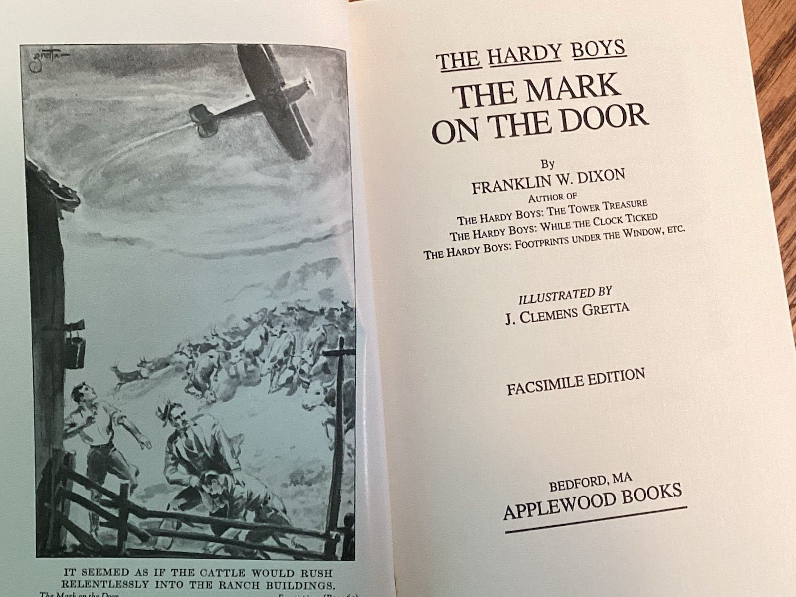 Applewood Hardy Boys “The Mark on the Door” F. W. Dixon (2001, Hardcover)