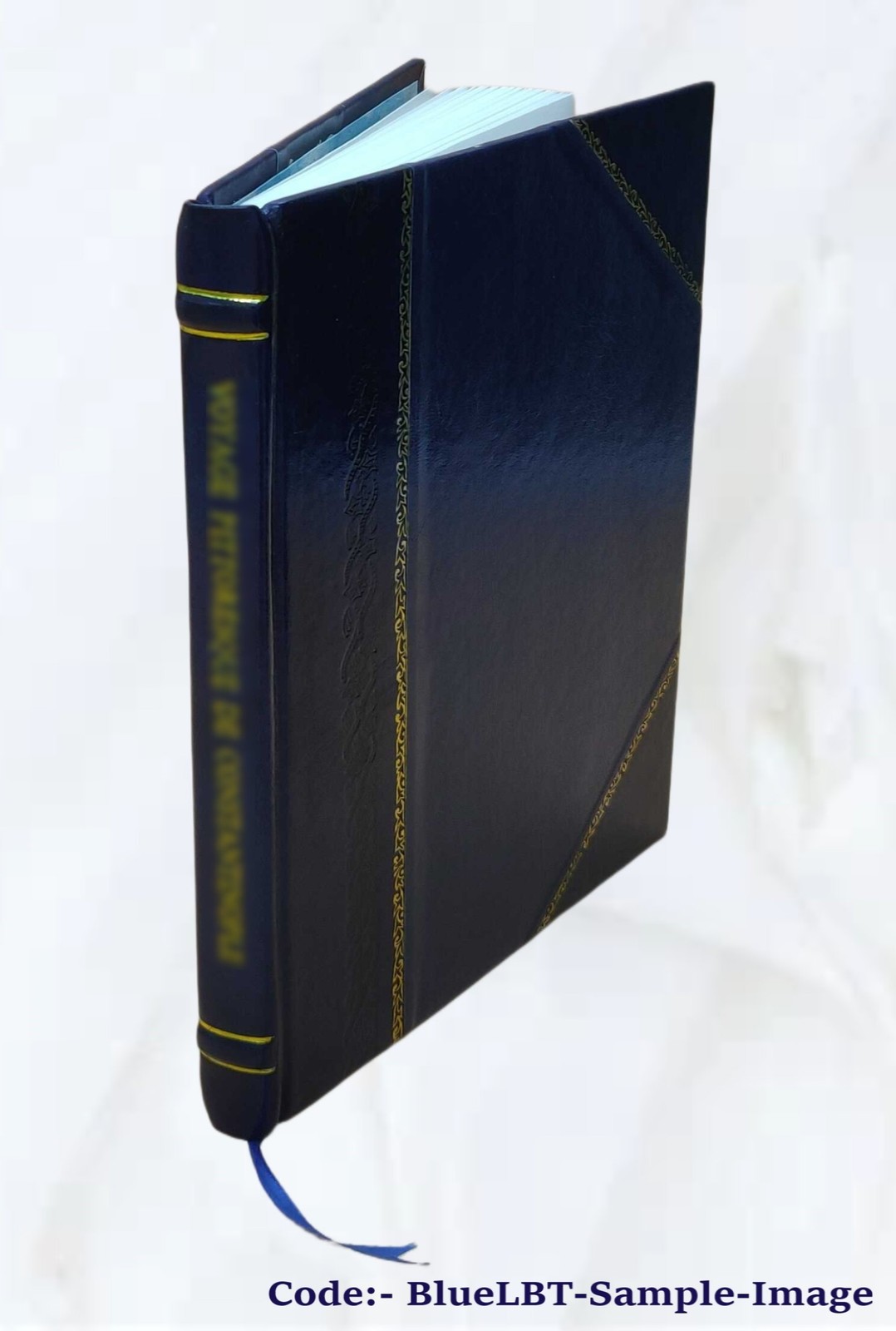 Rudra-S?iva 1941 by N Venkata Ramanayya [Leather Bound]