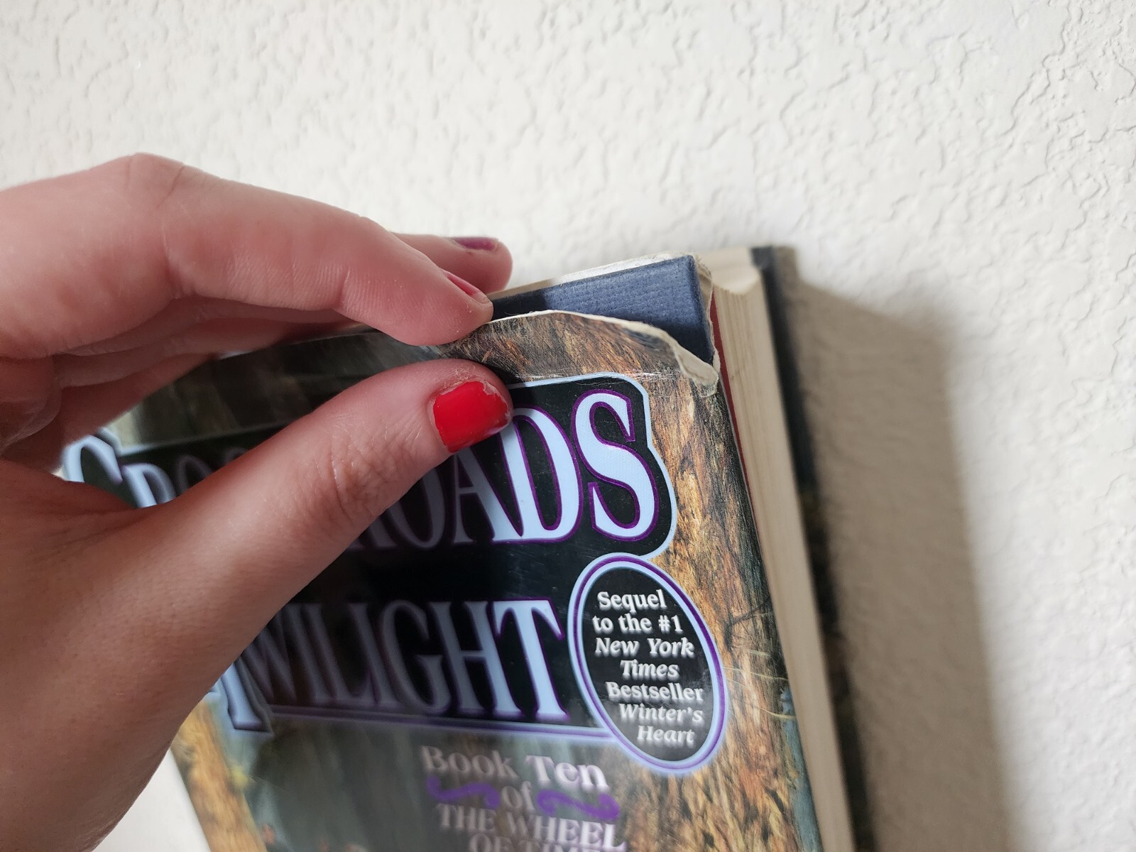 Wheel of Time Ser.: Crossroads of Twilight : Book Ten of ‘the Wheel of Time’ by