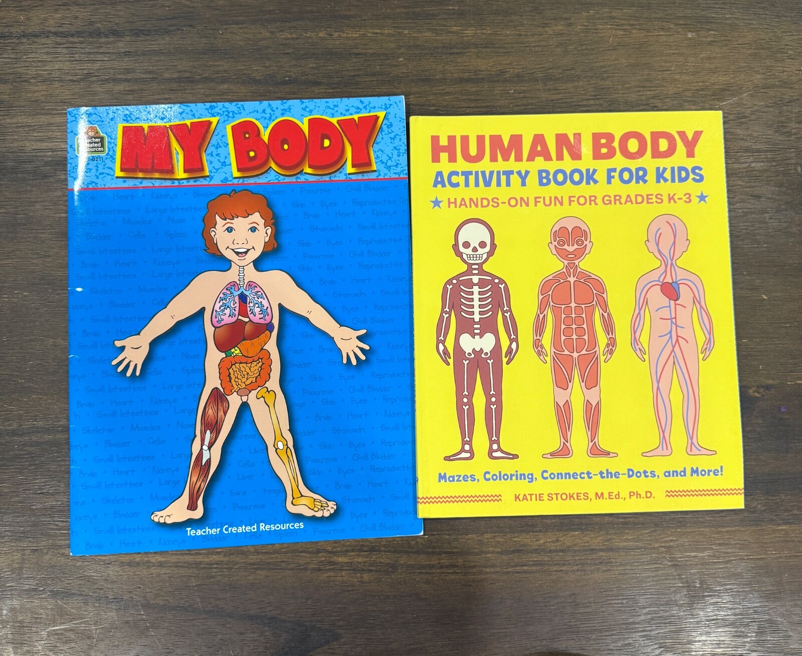 Human Body Activity Book for Kids : Hands-On Fun for Grades K-3 by Katie Stokes