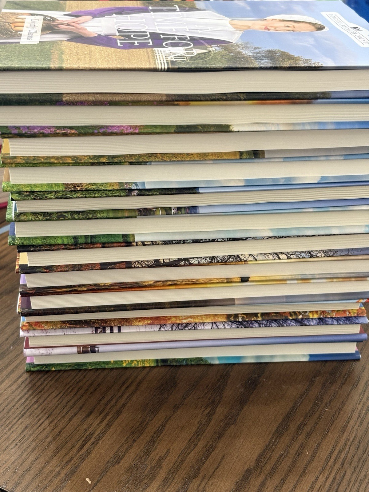 Annie’s Love In Lancaster County *COMPLETE HARDCOVER SET* [Lot of 12] Amish Love