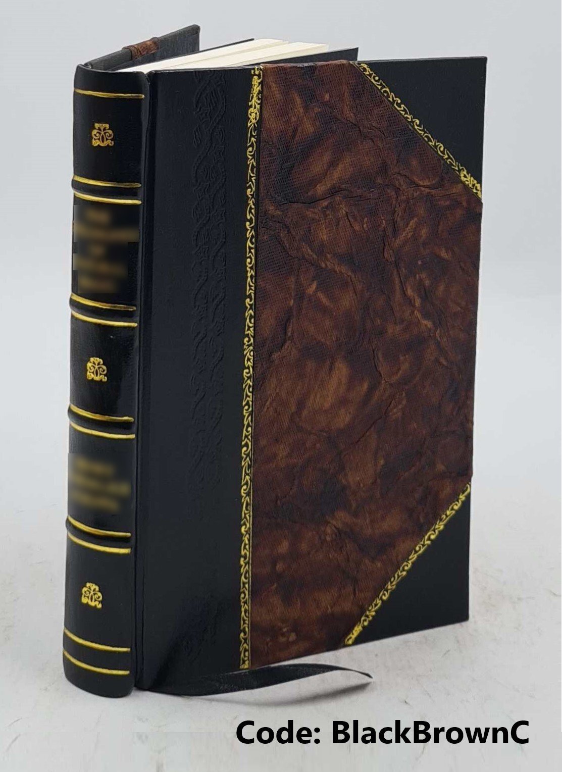 Einleitung in die Religionswissenschaft 1899 by Cornelis Petrus [Leather Bound]