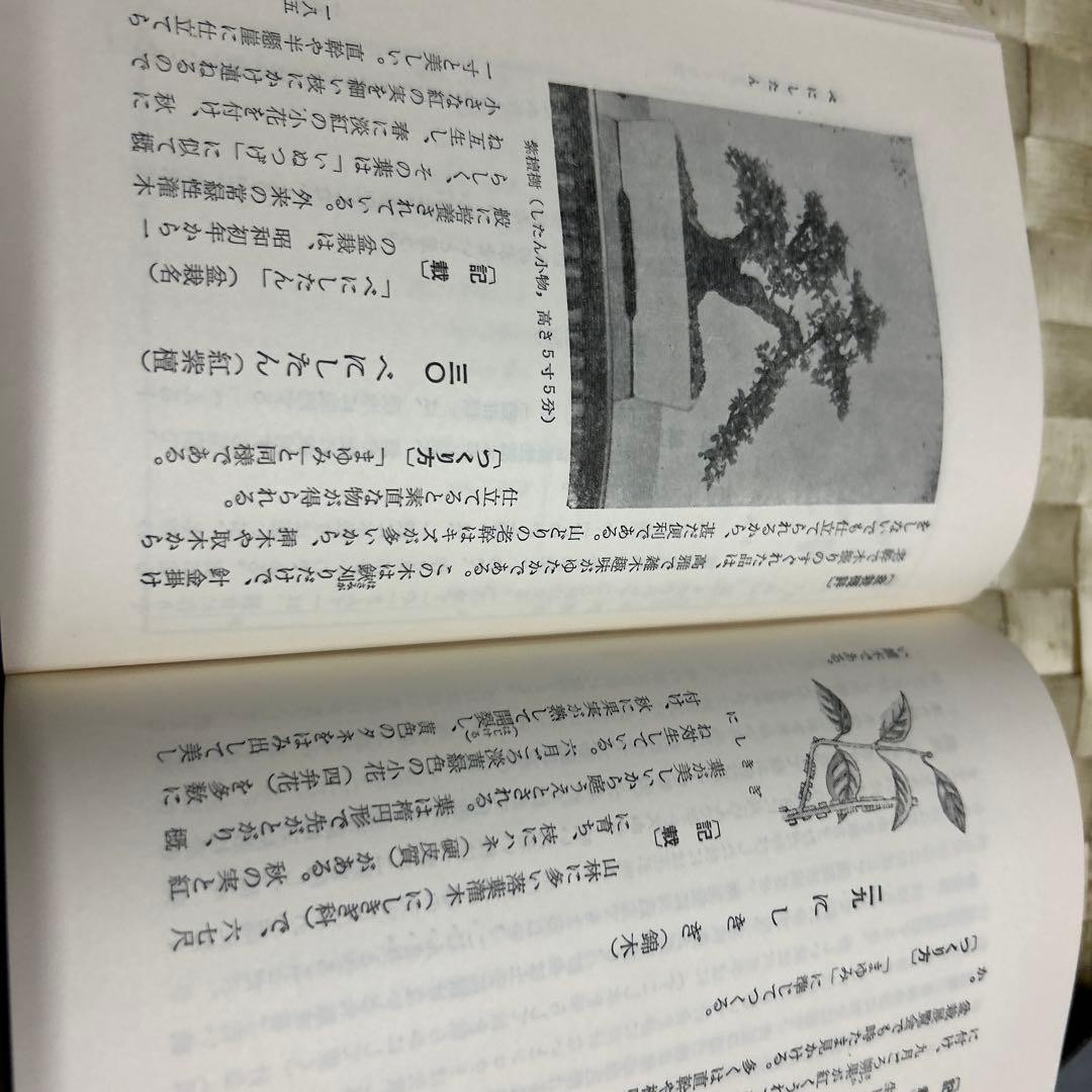Nozaki Nobuo Bonsai Illustration Book 302 Pages Good Condition