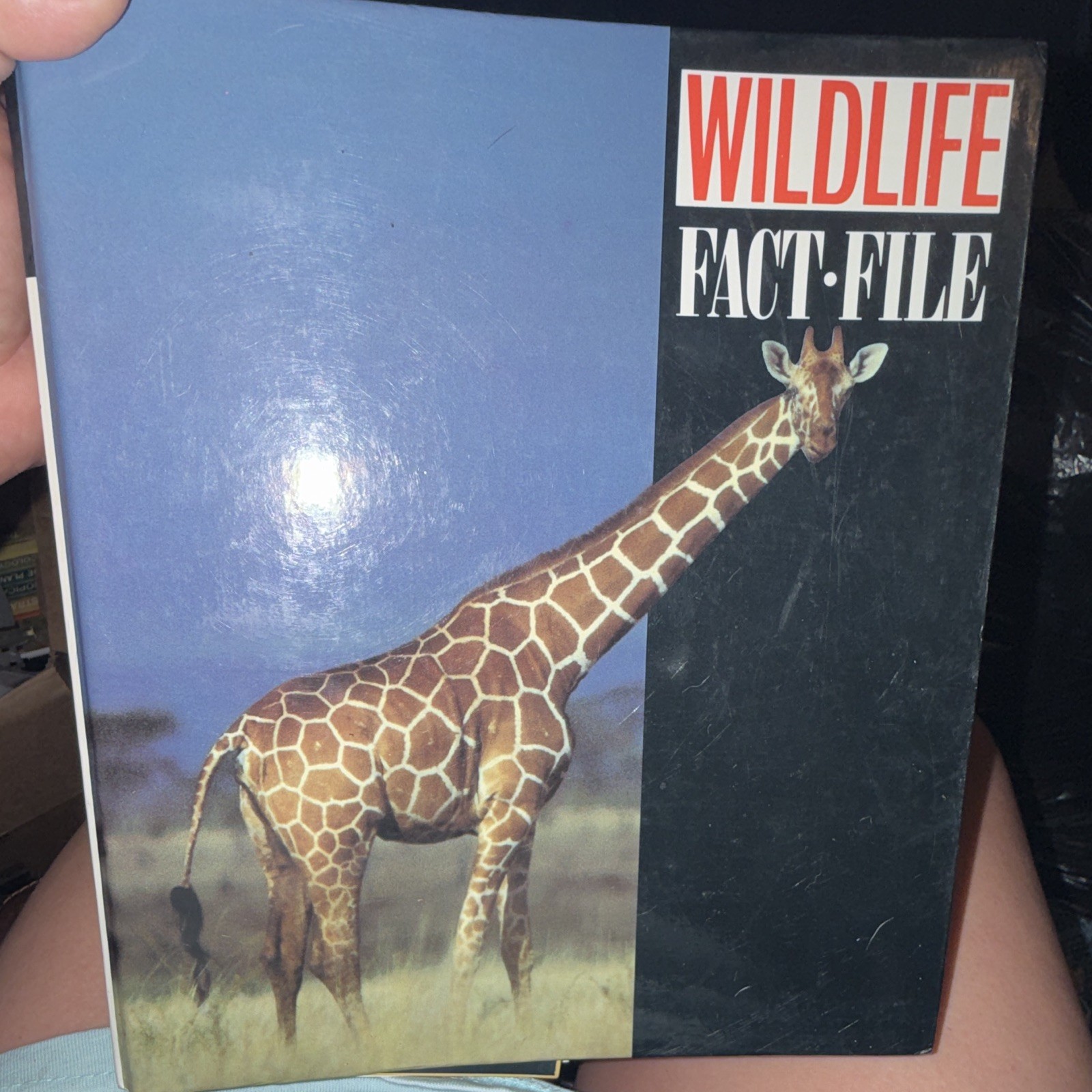 Wildlife Fact-File Illustrated Ring/Wire Bound Nonfiction Wildlife Fact File
