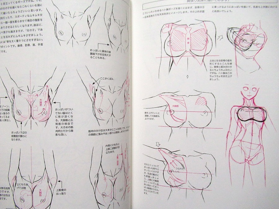 How to Draw Manga Woman’s Breast /Japanese Anime Drawing Illustrations Art Book