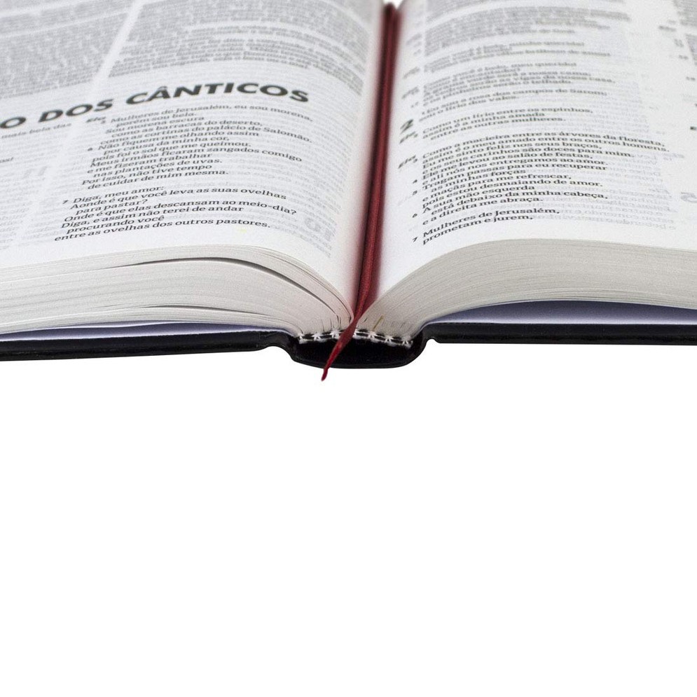 Biblia Sagrada: NTLH – Capa: Dura (Em Portugues do Brasil)