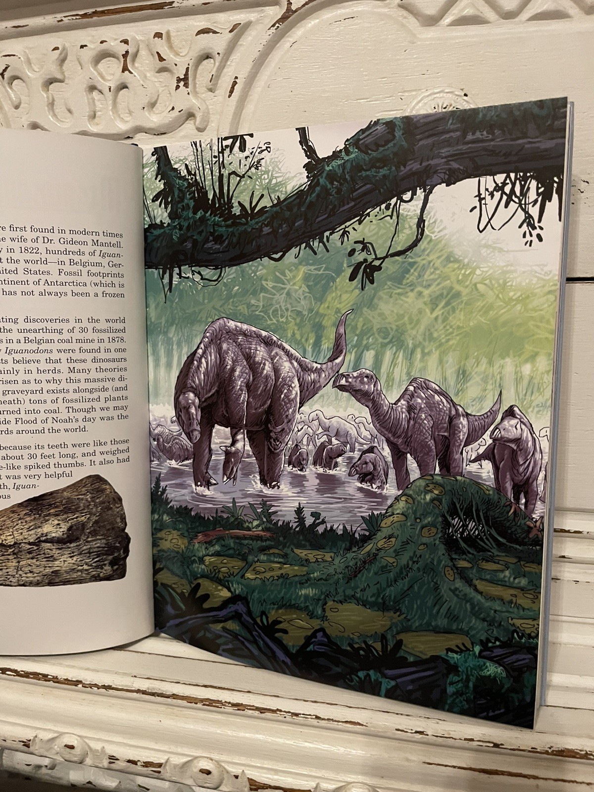 Dinosaur Released, The True Story About Dinosaurs And Humans Lyons & Butt 2nd Ed