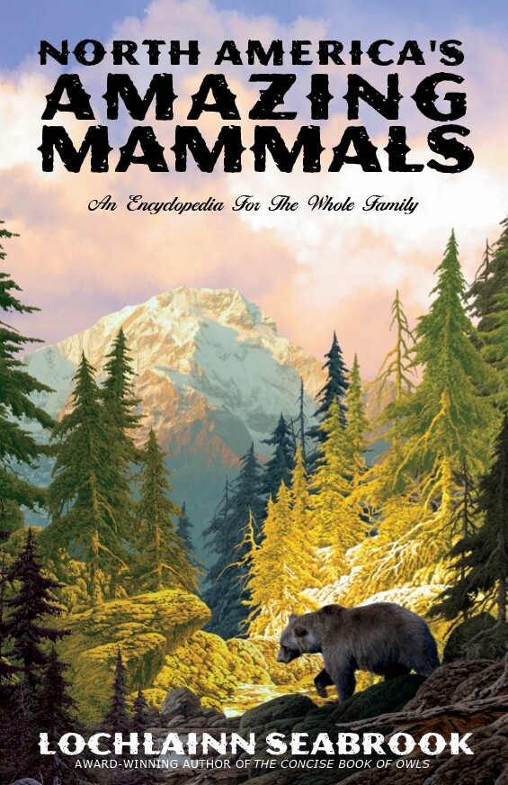 North Americas Amazing Mammals An Encyclopedia Illustrated Like New Condition