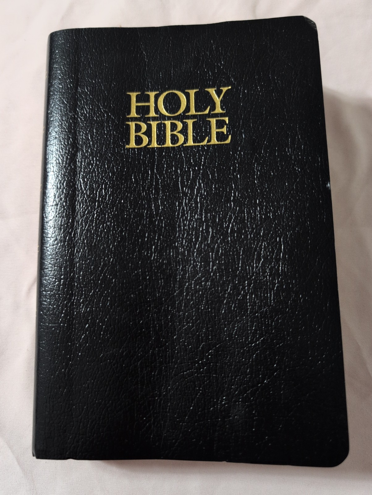 Holy Bible NIV With Helps Red Letter (2001, Faux Leather, Zondervan)