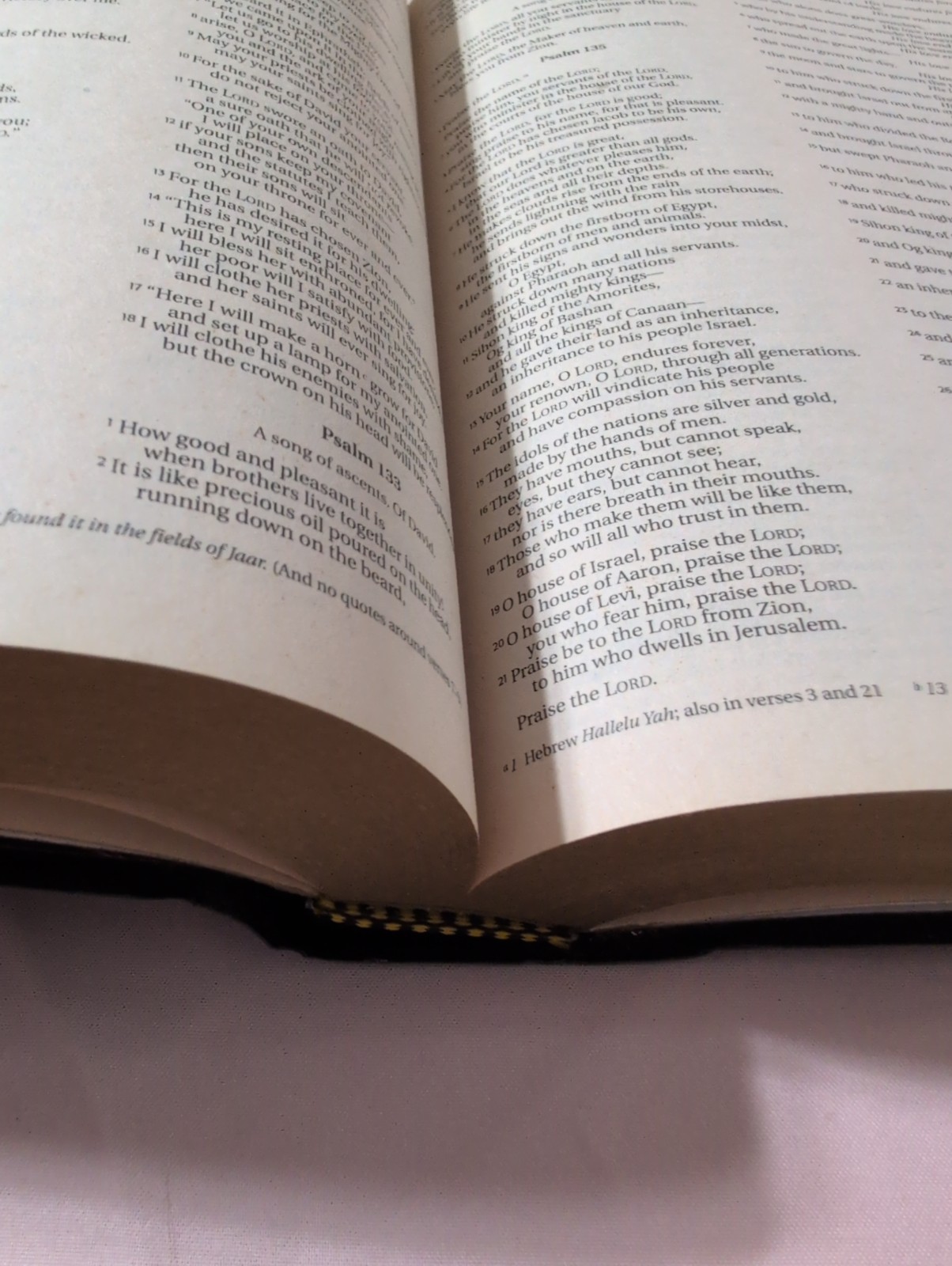 Holy Bible NIV With Helps Red Letter (2001, Faux Leather, Zondervan)