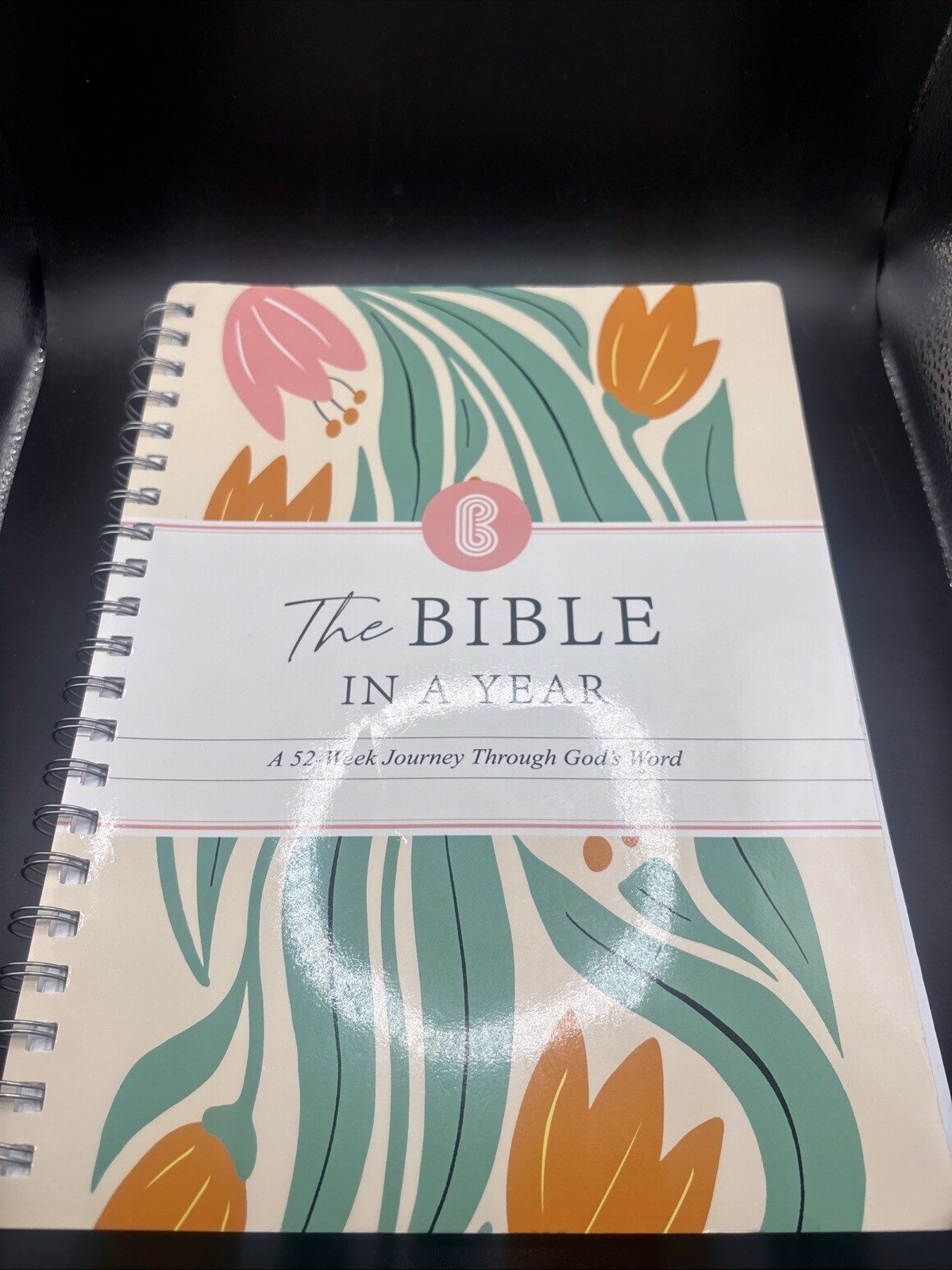 The Bible in a Year Spiral Bound Study Guide 52-Week Journey Through God’s Word