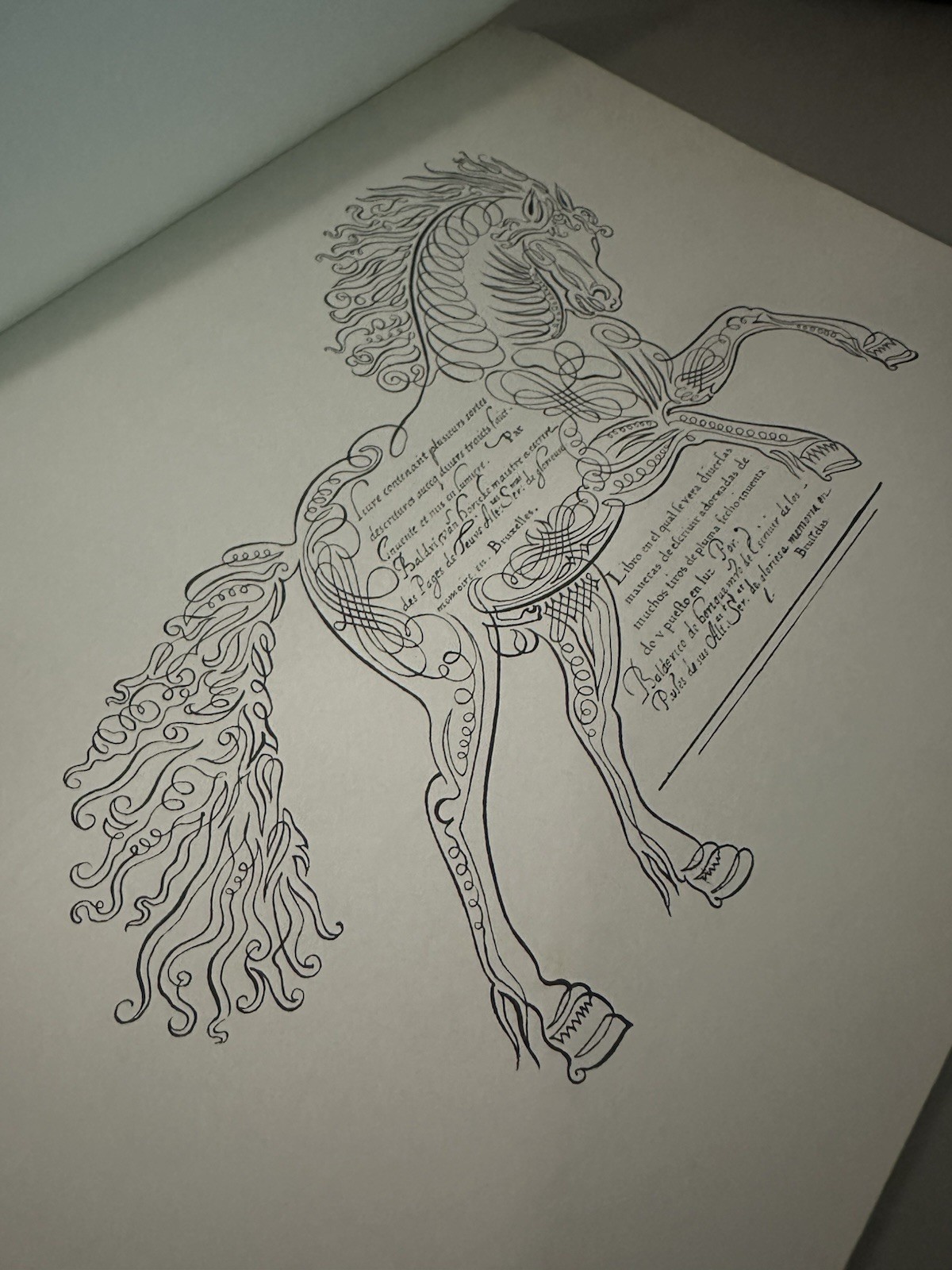 MASTER ALBUM OF PICTORIAL CALLIGRAPHY AND SCROLLWORK: AN By Baldri Van Horicke