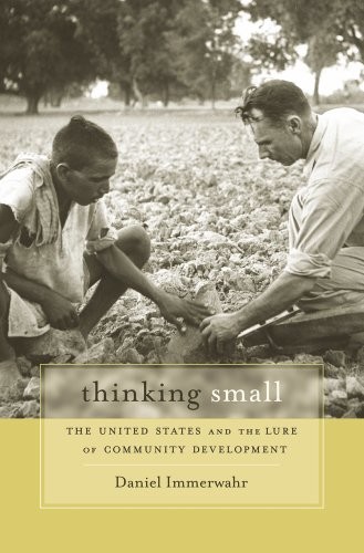 Thinking Small: The United States a…, Daniel Immerwah