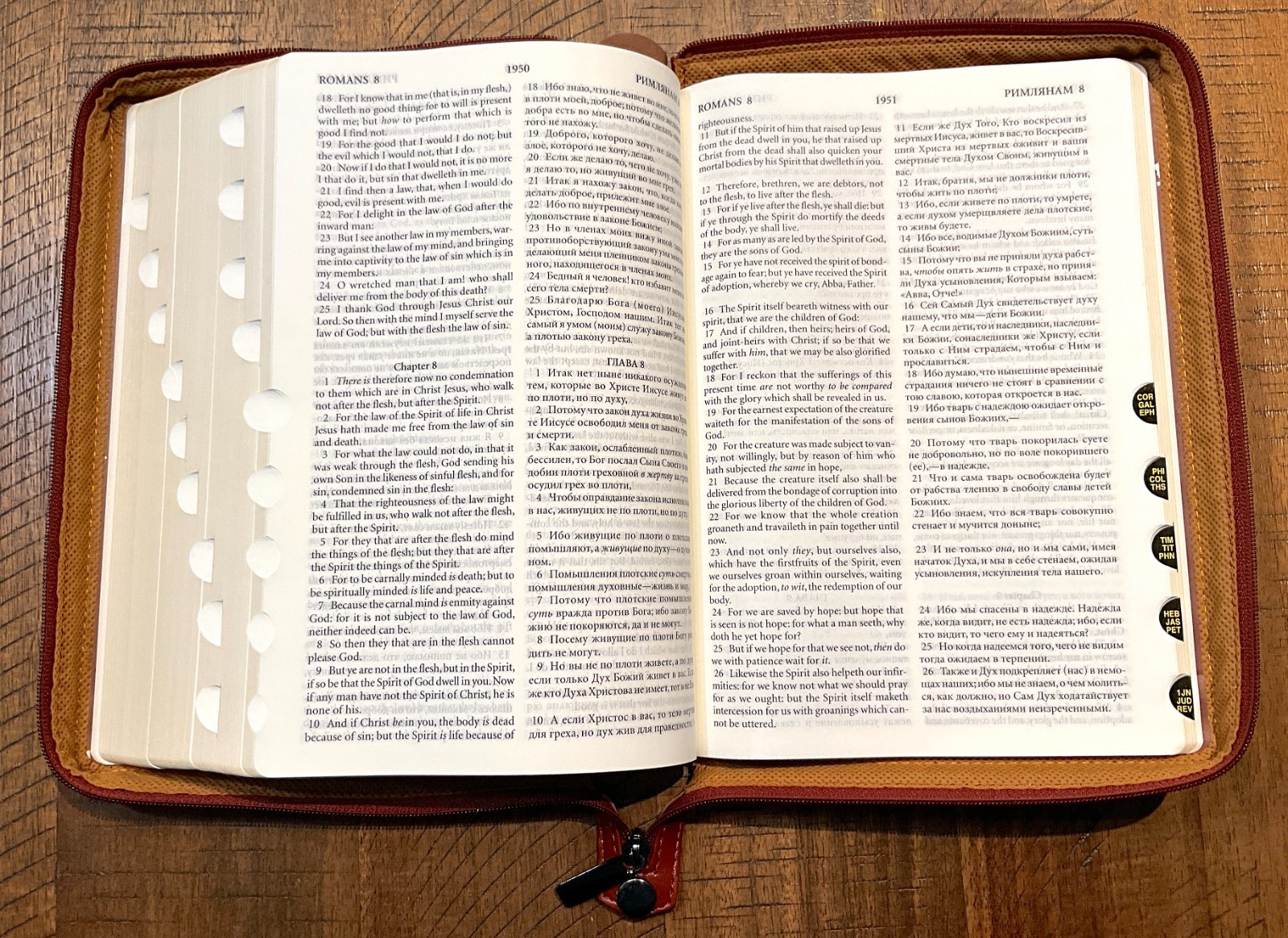 Russian/English Parallel Bible, Synodal/KJV, Brown Imitation Leather Zip LARGE