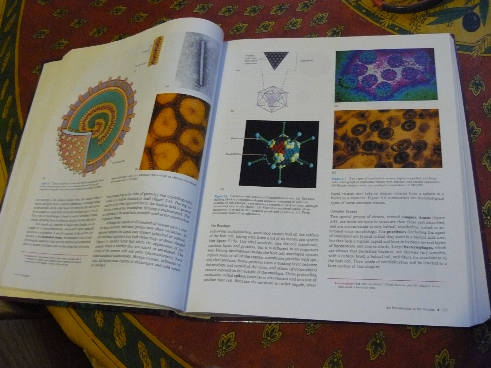 Foundations in Microbiology by Arthur Talaro and Kathleen Park Talaro 832 pages