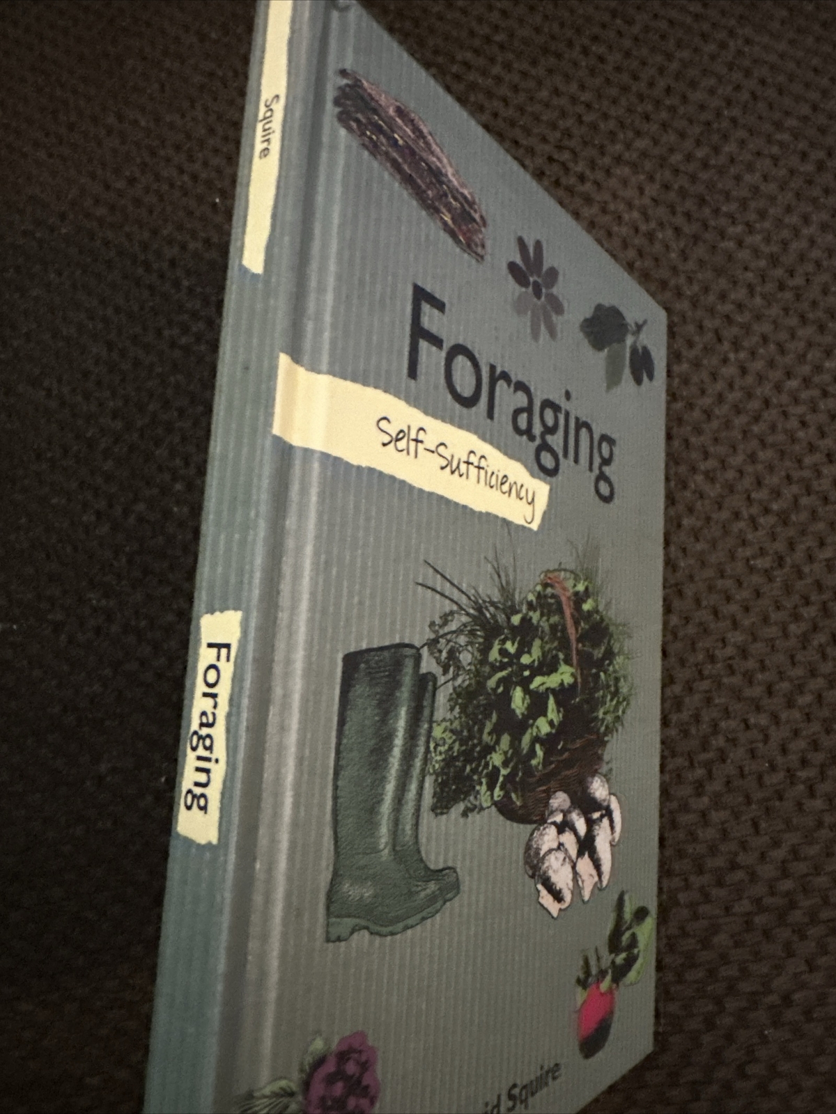 Self Sufficiency Foraging By David Squire Hardcover Survival Book