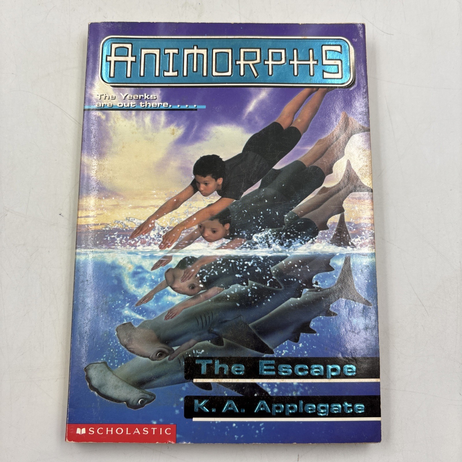 Animorphs Book Lot of 15 K.A. Applegate Scholastic Paperback Vintage 15