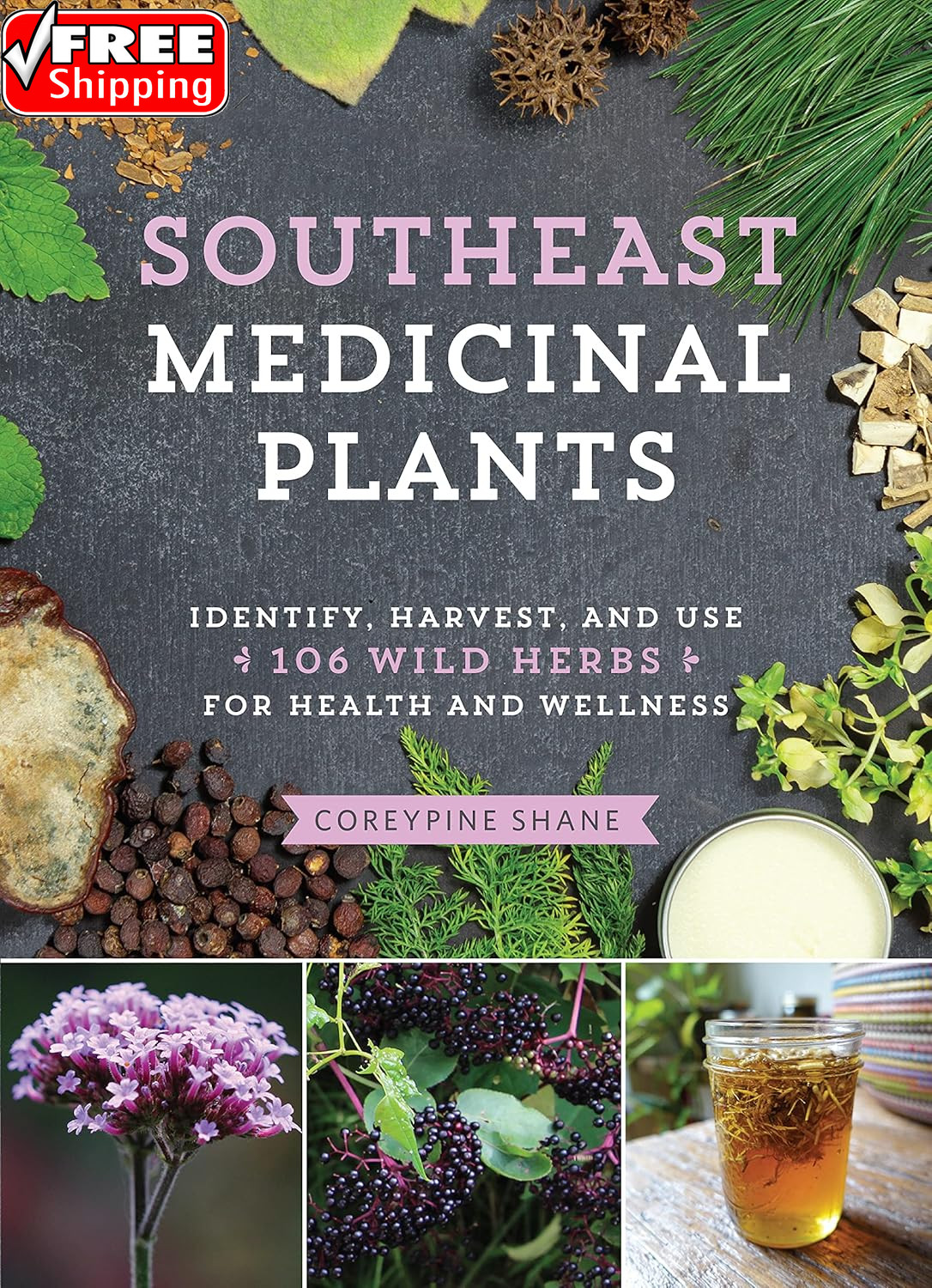 Southeast Medicinal Plants: Identify, Harvest, and Use 106 Wild Herbs for Health