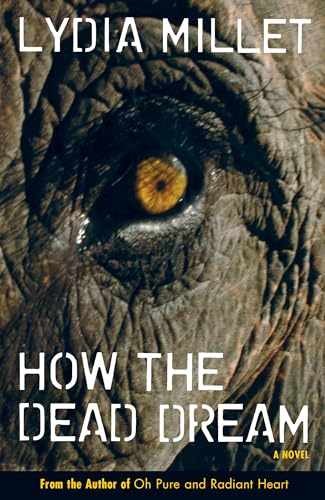 How the Dead Dream: A Novel – Hardcover, by Millet Lydia – Very Good g