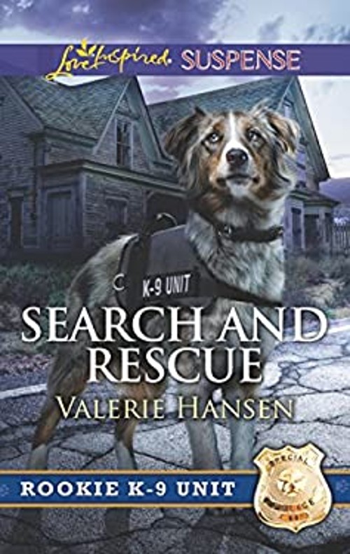 Search and Rescue Mass Market Paperbound Valerie Hansen