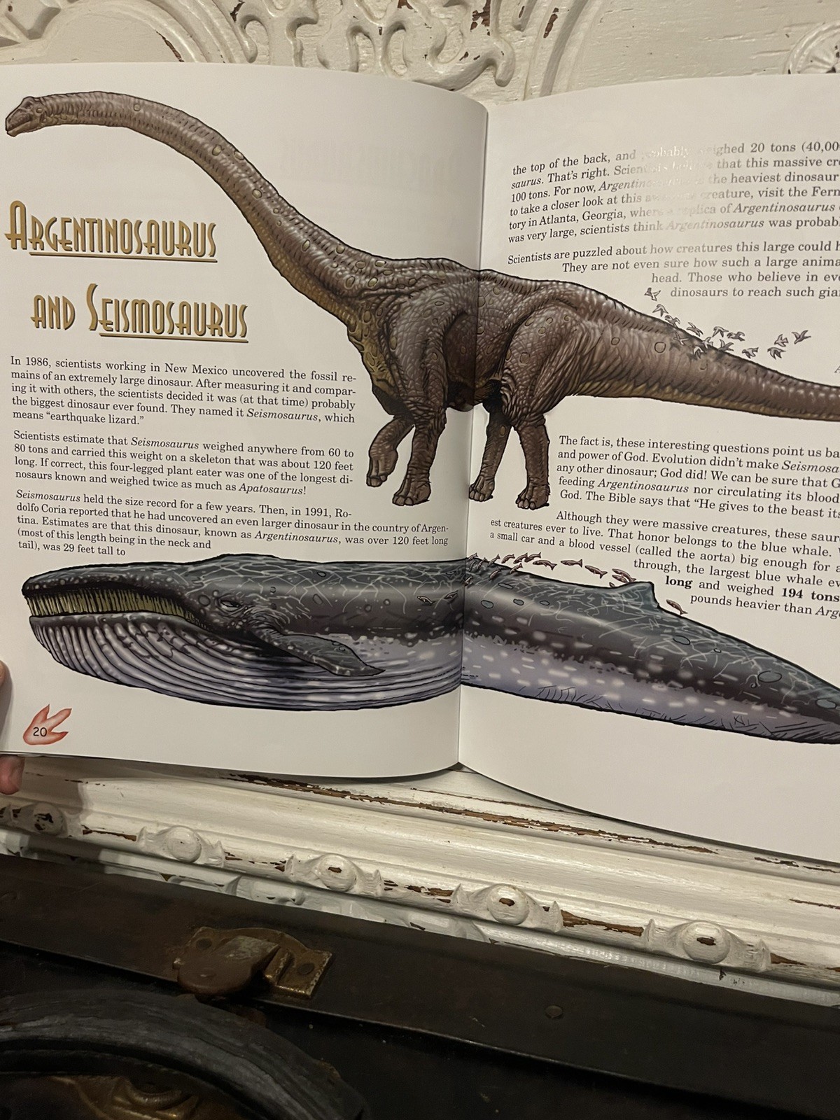 Dinosaur Released, The True Story About Dinosaurs And Humans Lyons & Butt 2nd Ed