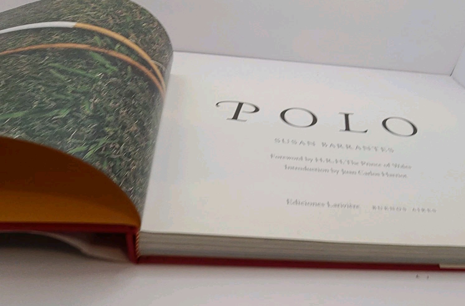 Polo” by Susan Barrantes Hardcover Book 1997 Horses Sport Equestrian READ
